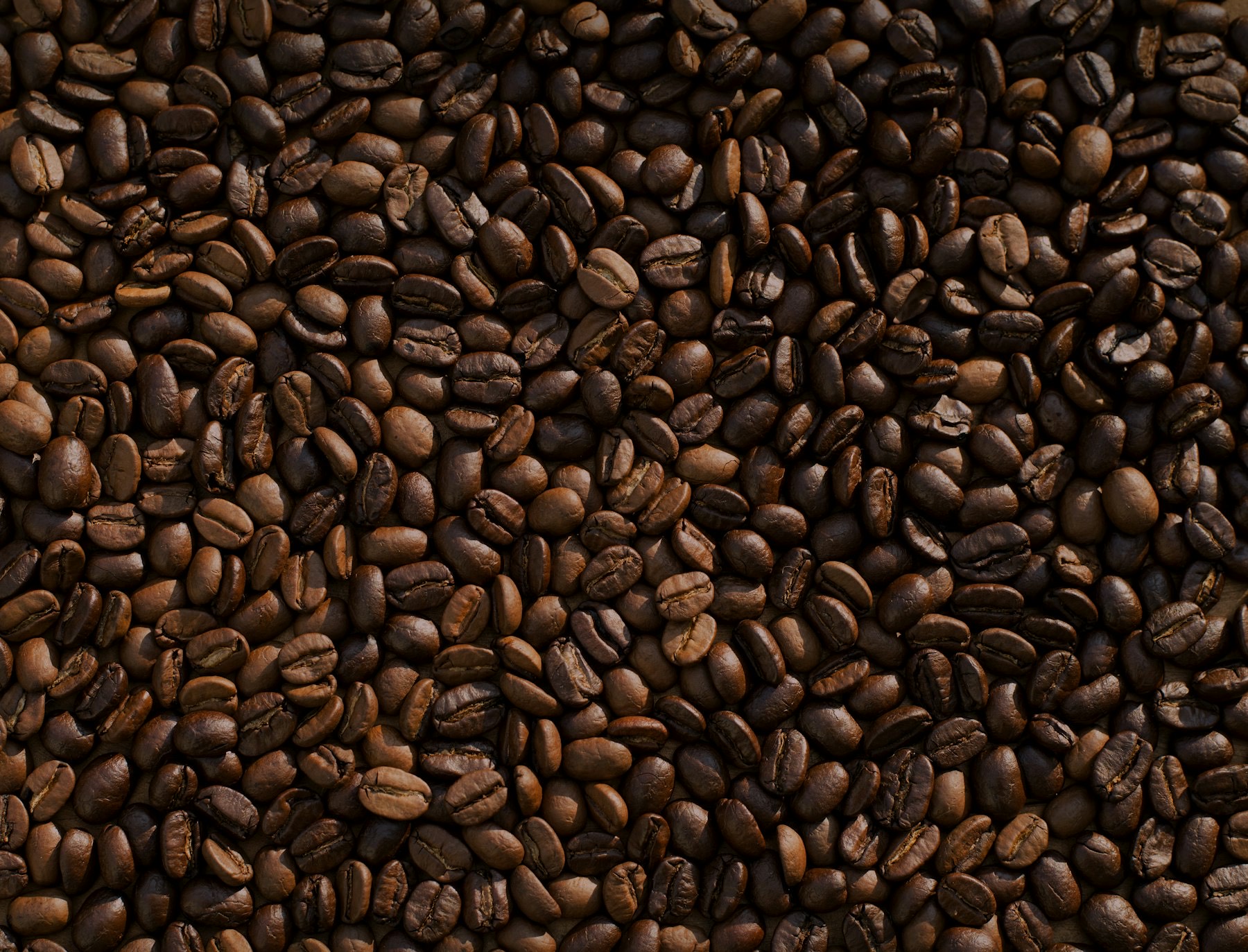 Roasted coffee beans