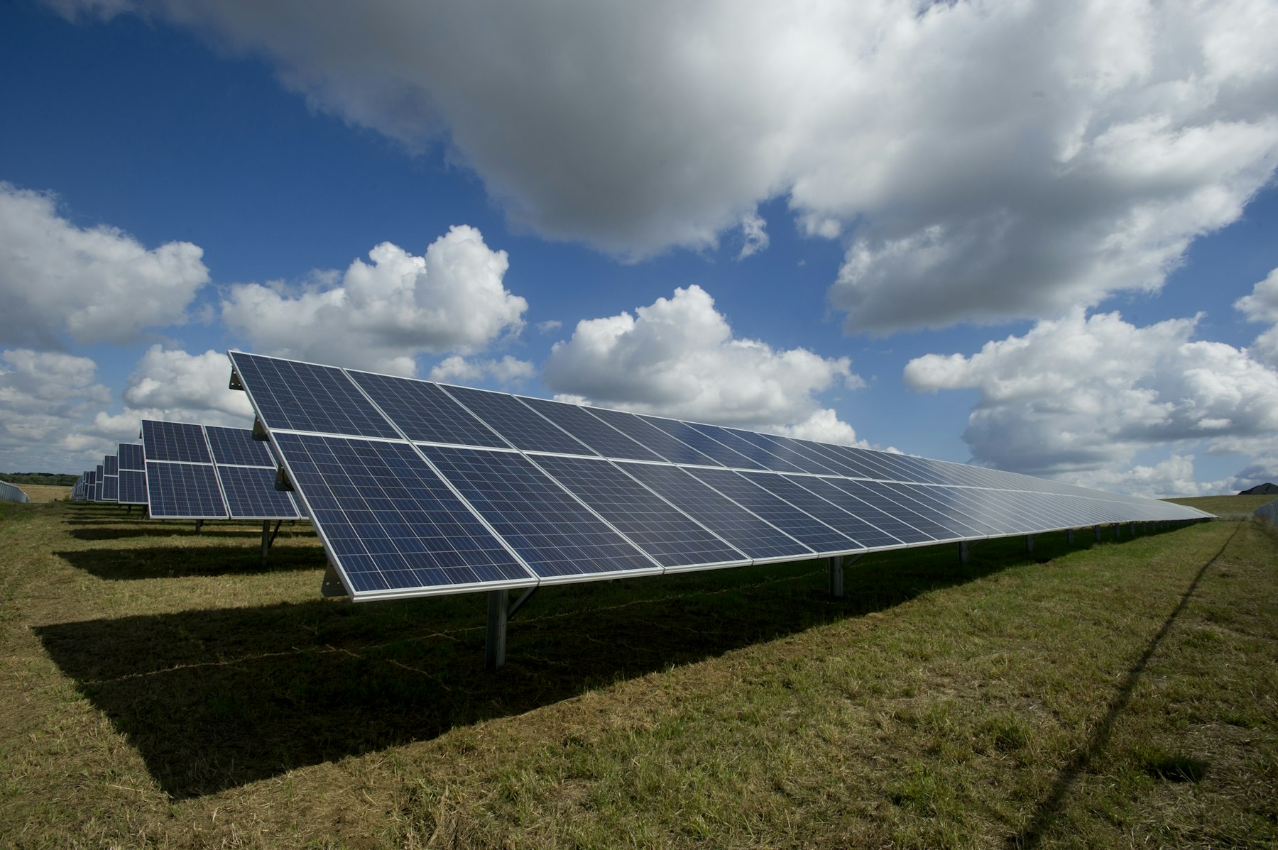 Solar panels in a field